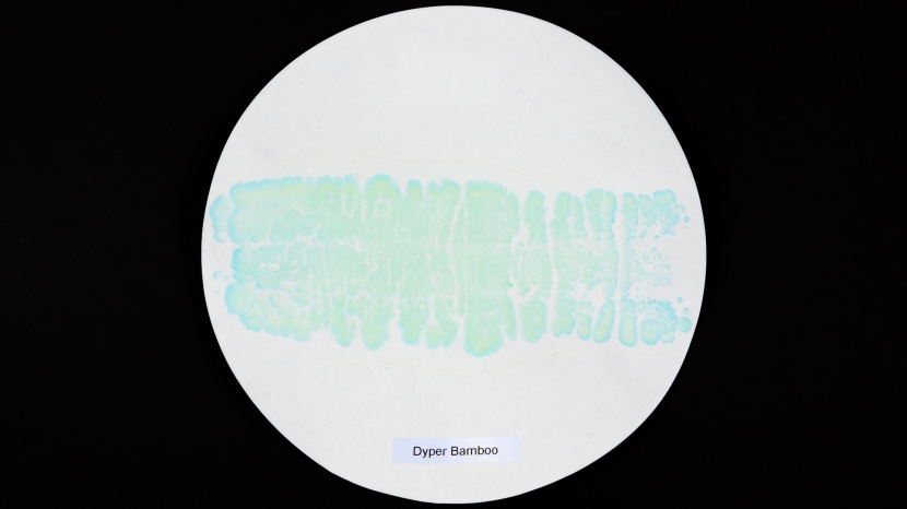 dyper's performance was not particularly impressive.