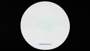 The Hello Bello diaper has minimal moisture transfer to the filter...