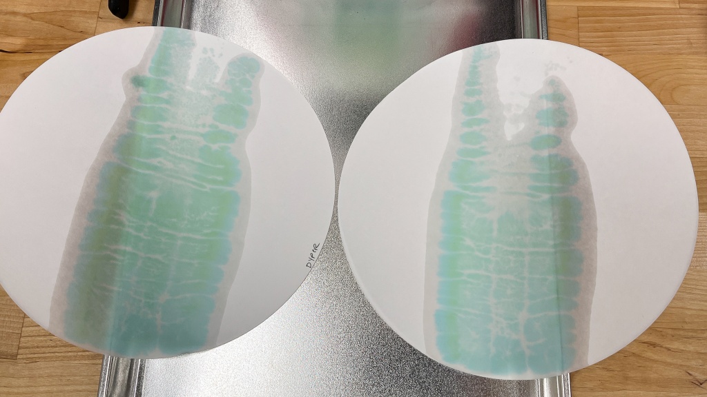 dyper bamboo - dyper bambo had some of the worst absorption test results we've ever...