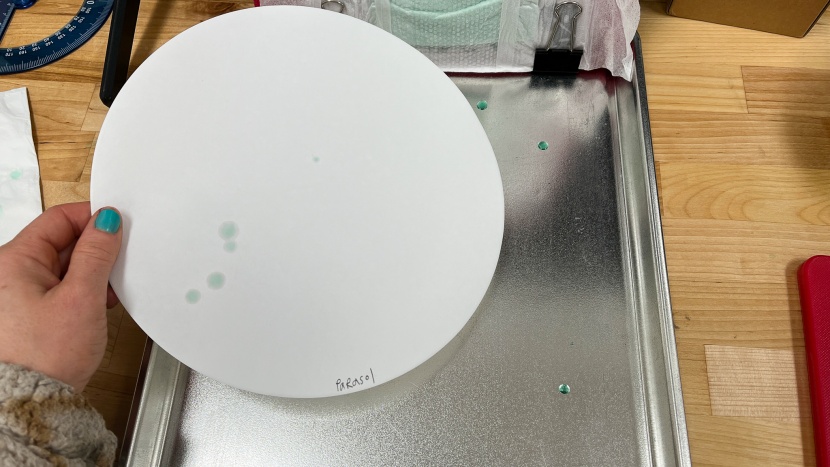 parasol clear and dry - only a couple of drops escaped the parasol diaper in our leak tests.