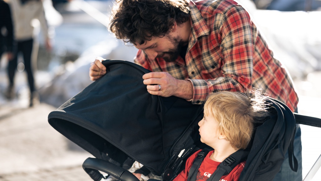 bugaboo donkey5 - the donkey has ample canopies but the peek-a-boo window is oddly...