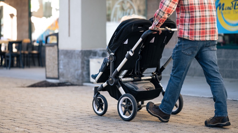 bugaboo donkey5 - the donkey is of higher quality, but for the price, we still...