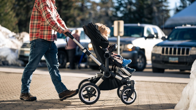 bugaboo donkey5 - while the donkey has some unique and potentially useful features, we...