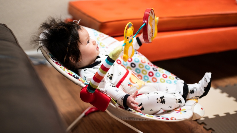 baby bouncer - offering the bare minimum, the bright starts playful pinwheels did...