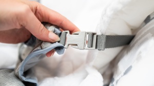 The plastic buckles on the Ingenuity SmartBounce feel less durable...