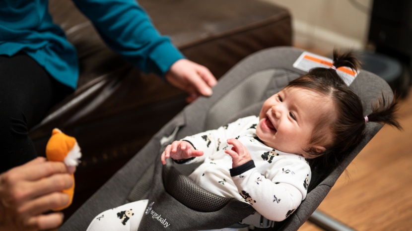 baby bouncer - the ergobaby evolve 3-in-1 bouncer has exceptional, top-notch quality.