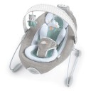 baby bouncer