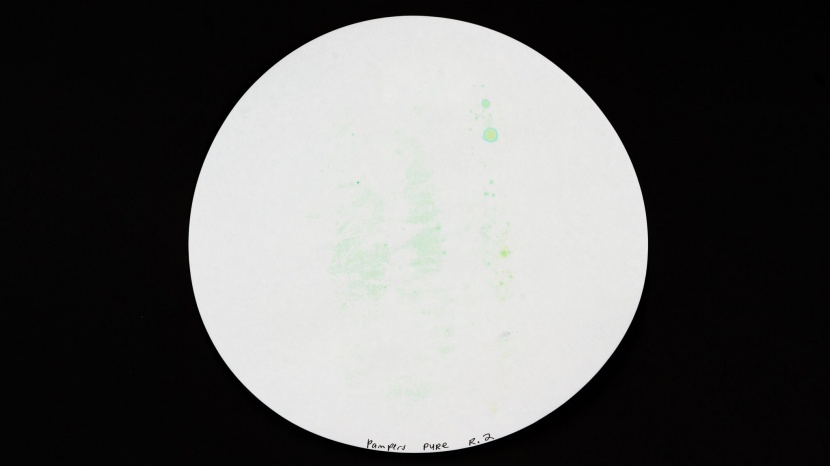 pure performed well in our tests for absorption, with filter paper...