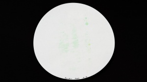 Pure performed well in our tests for absorption, with filter paper...