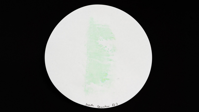 seventh generation sensitive protection - while the seventh generation diaper has even distribution of fake...