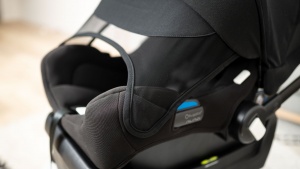 The Turtle canopy is unique with a pull-down privacy mesh shield...