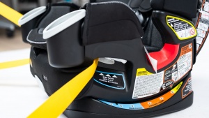 The 4Ever belt pathways are clearly marked with arrows and stickers...
