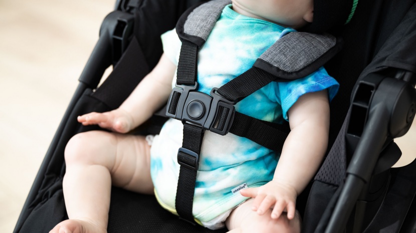 graco modes nest stroller - the modes has a simple and basic harness that can be a 3-point or...