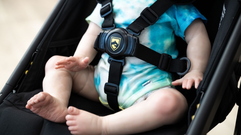 bob alterrain pro - the alterrain harness is somewhat utilitarian with exposed straps...