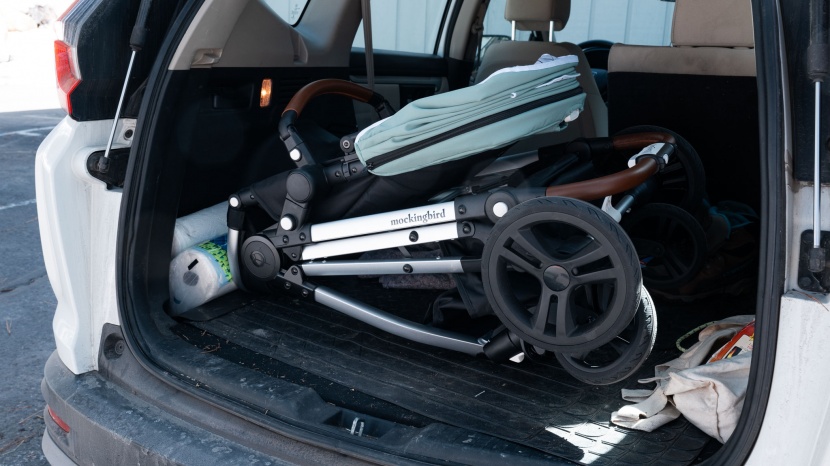 the mockingbird is one of the largest options in the group, leaving...
