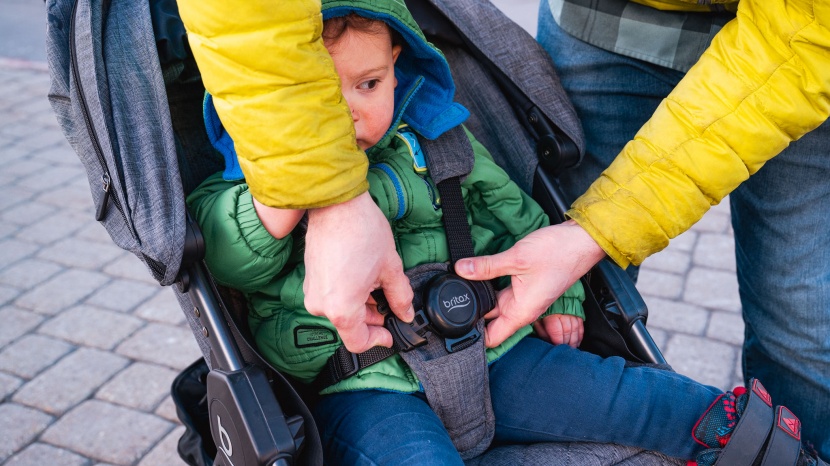 britax b-free - the b-free has a large central buckle with padding on the back to...
