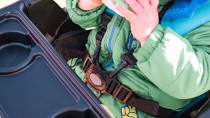 The Baby Trend harness has rougher webbing and a lower-quality...