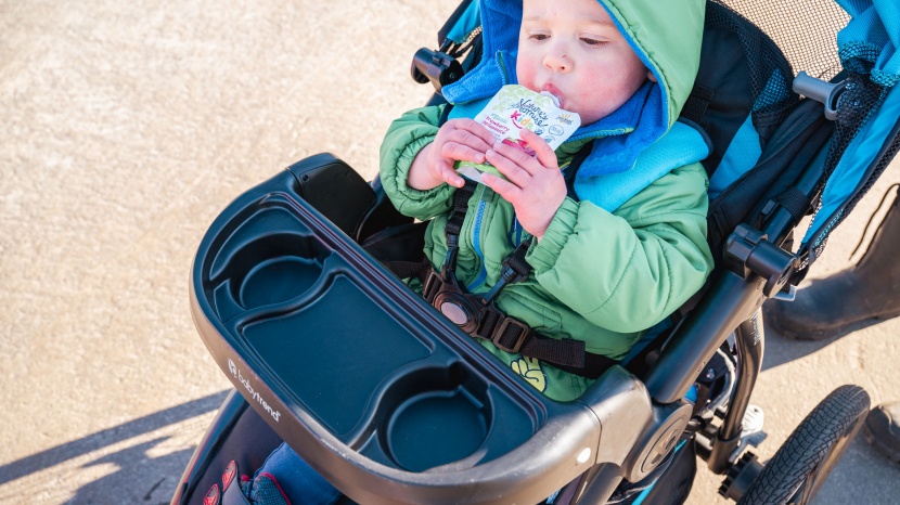 baby trend expedition race tec - the race tec can get the strolling job done for a lower price and...