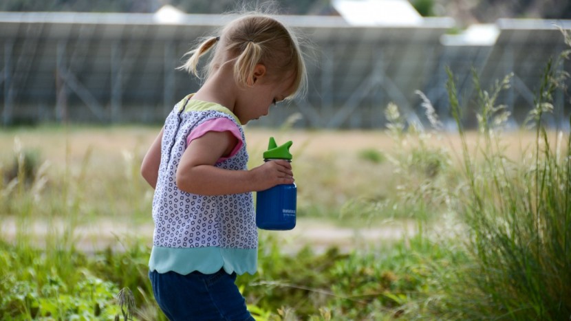 sippy cup - we prefer cups made from materials like stainless steel instead of...