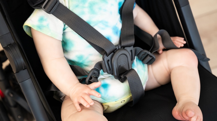 the g-luxe harness has shoulder pads but not pad on the crotch strap.