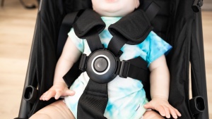 The Zoe harness is easy to use, and we like the buckle, but the...