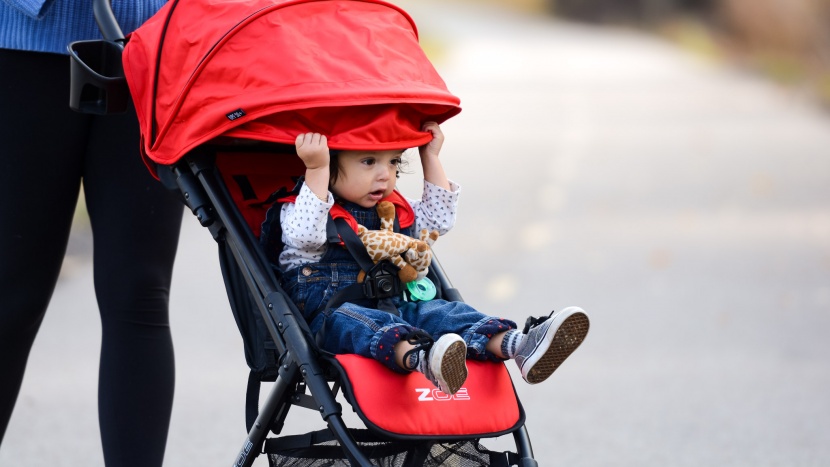 travel stroller - the zoe sunshade is big enough for most outings and one of the...