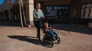 The Babyzen is small and has enough features for travel and short...