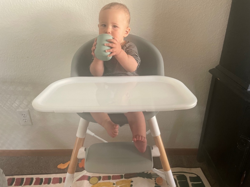 high chair - the skip hop eon 4-in-1 is an affordable option that will still grow...
