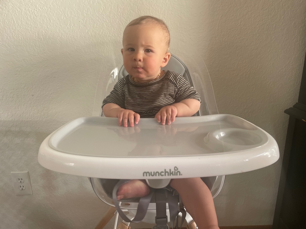 high chair - munchkin 360 cloud tray with cup insert
