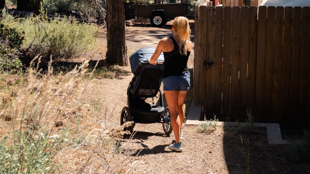 uppababy ridge - the ridge didn't perform as well off-road as some competitors, but...