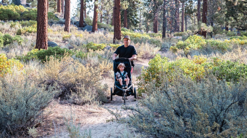 stroller - rubber tires, like those on the guava roam, make &quot;roaming&quot; easier.
