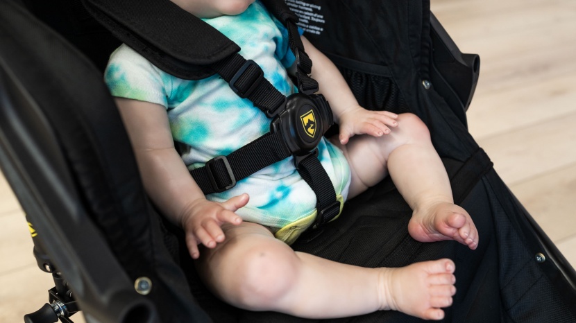 bob revolution flex 3.0 - the harness has a stiff buckle and covered shoulder straps that are...