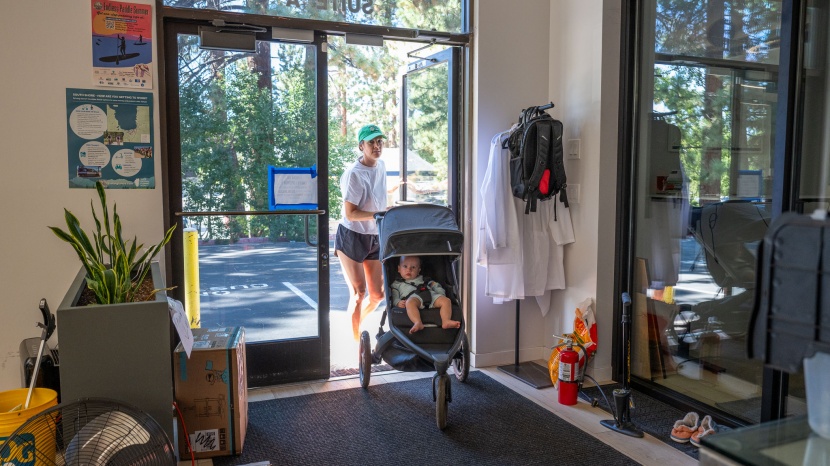 jogging stroller - the guava roam is equally equipped for everyday errands as it is...