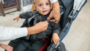 The UPPAbaby Ridge has a 5-point harness with soft materials and a...