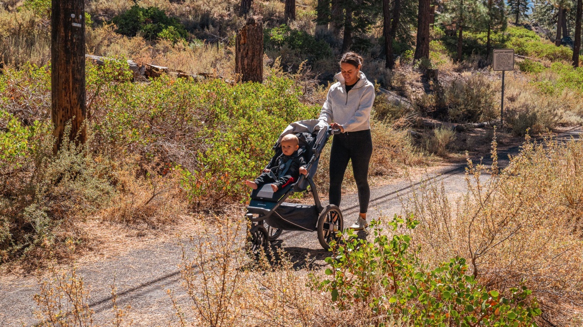 UPPAbaby Ridge Review