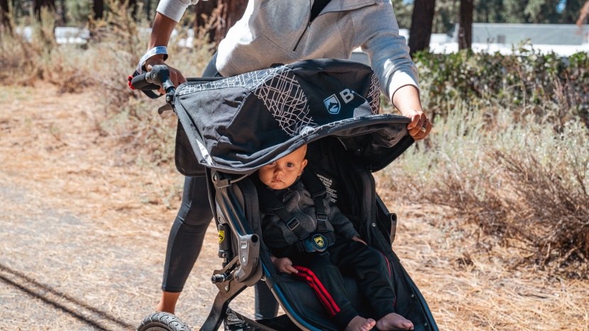 bob revolution flex 3.0 - a giant canopy like that on the revolution help protect little ones...