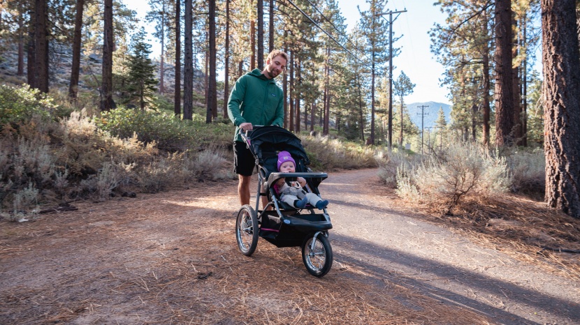 baby trend expedition - the expedition can traverse different terrains, but it is more...