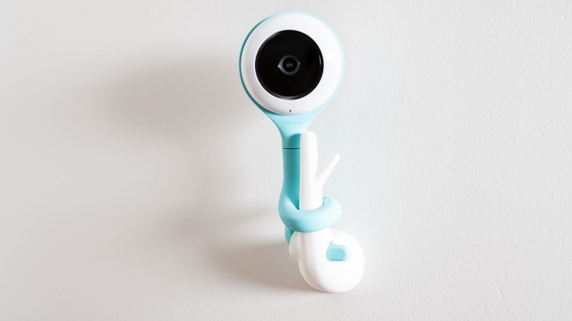 lollipop - the lollipop comes with a fun mounting &quot;branch&quot; that is a cute...
