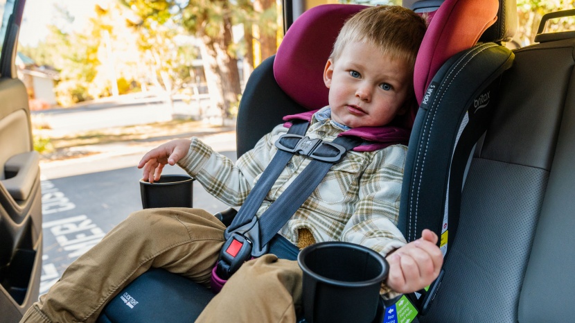 britax poplar s - the poplar could be a contender if you value the britax brand and...