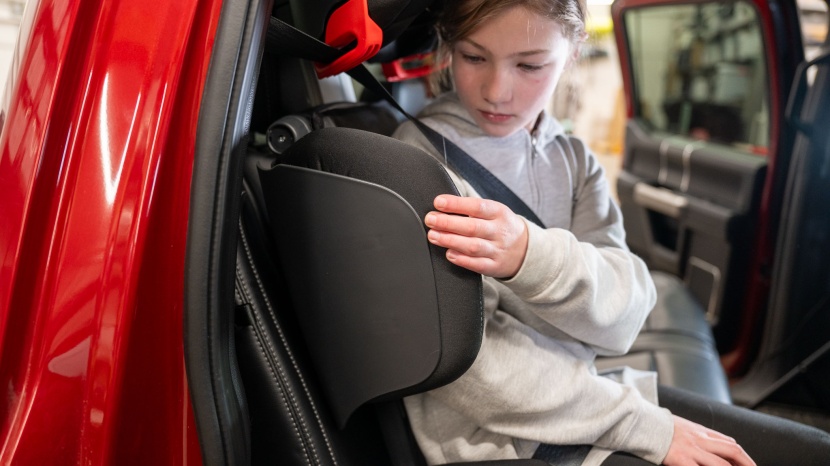 peg perego viaggio shuttle plus 120 - the wings on the shuttle plus offer additional support and comfort.