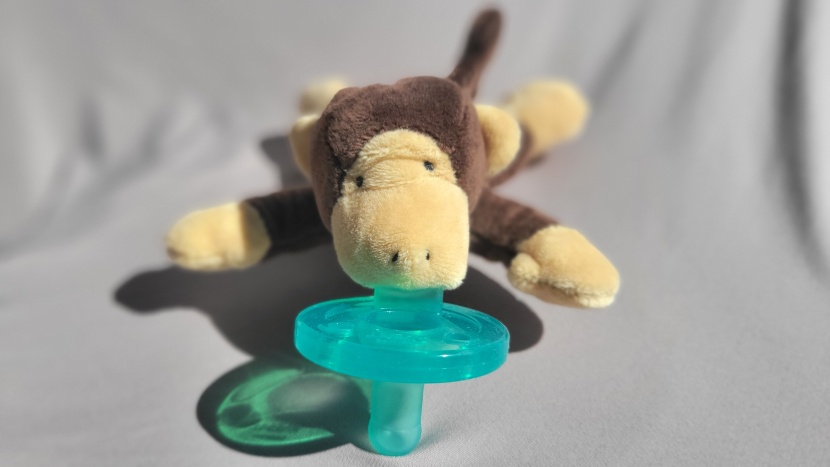 pacifier - there is no doubt the wubbanub is adorable but the cleaning...
