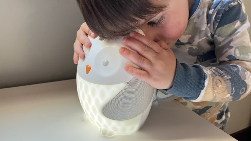 this little one couldn't resist getting a closer look at the...