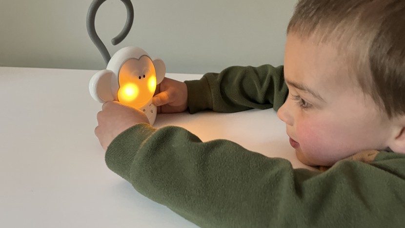 sound machine baby - this cute little monkey captivated both kids and parents alike.