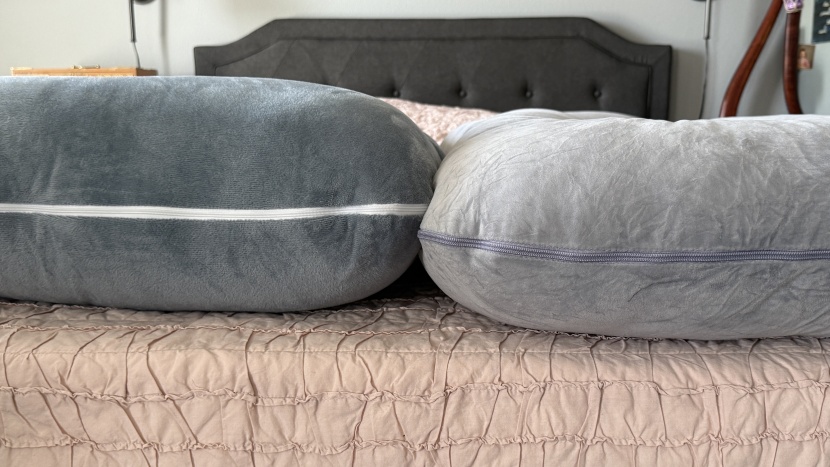 pregnancy pillow - the chilling home (on the left) has more fluff and support than the...