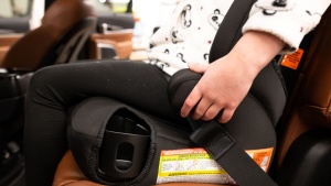 The lap portion of the belt goes under the Tranzitions armrest, and...