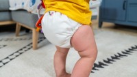 Best Cloth Diaper