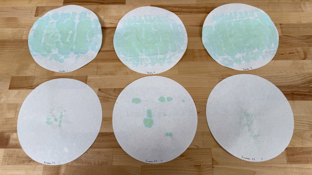 cloth diaper - not all cloth diapers perform equally. the filter paper results here...