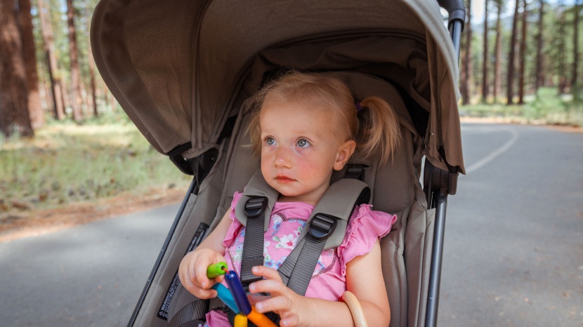 travel stroller - each stroller varies in quality, and we carefully examine the...