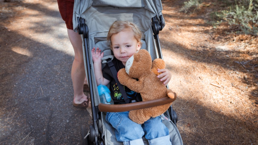 travel stroller - our little tester enjoyed riding in the nuna trvl.