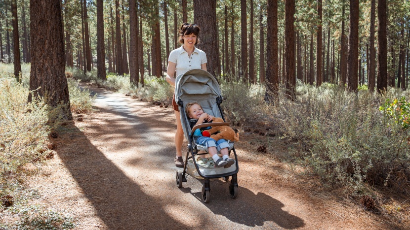 travel stroller - we enjoyed pushing the nuna trvl.